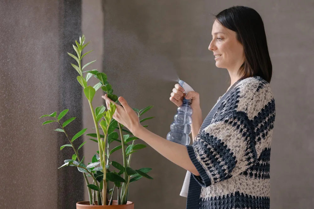 Keeping Your Plants Alive in Apartments