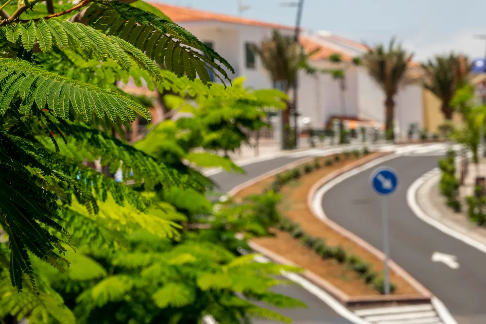 5 Spots Locals Love in Fort Myers