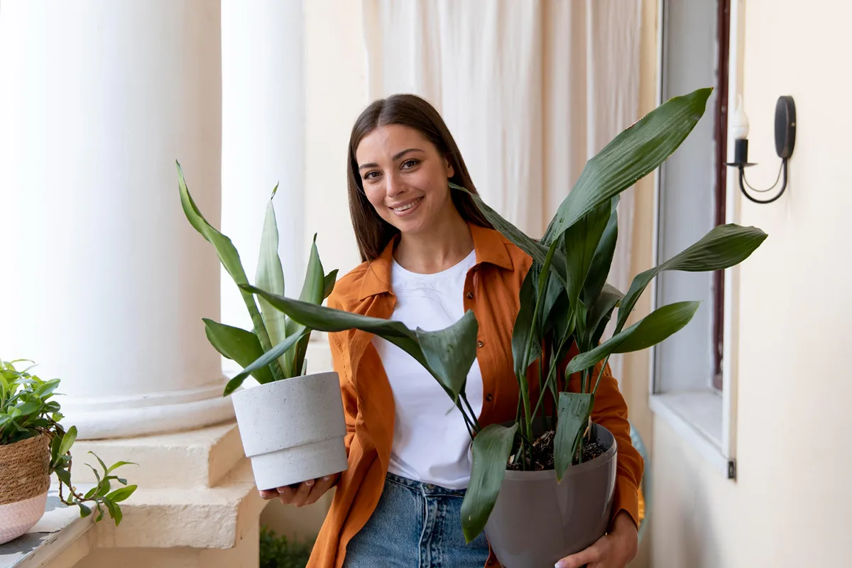 Spruce Up Your Apartment By Adding Greenery